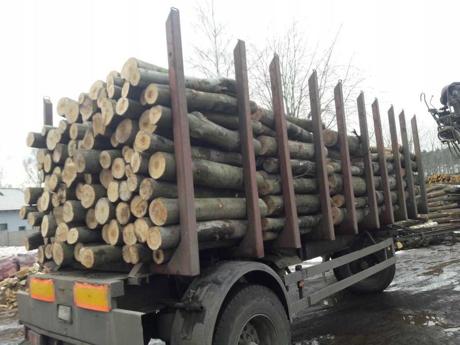 Drewno drzewo opałowe kominkowe DĄB CZERWONY SOSNA