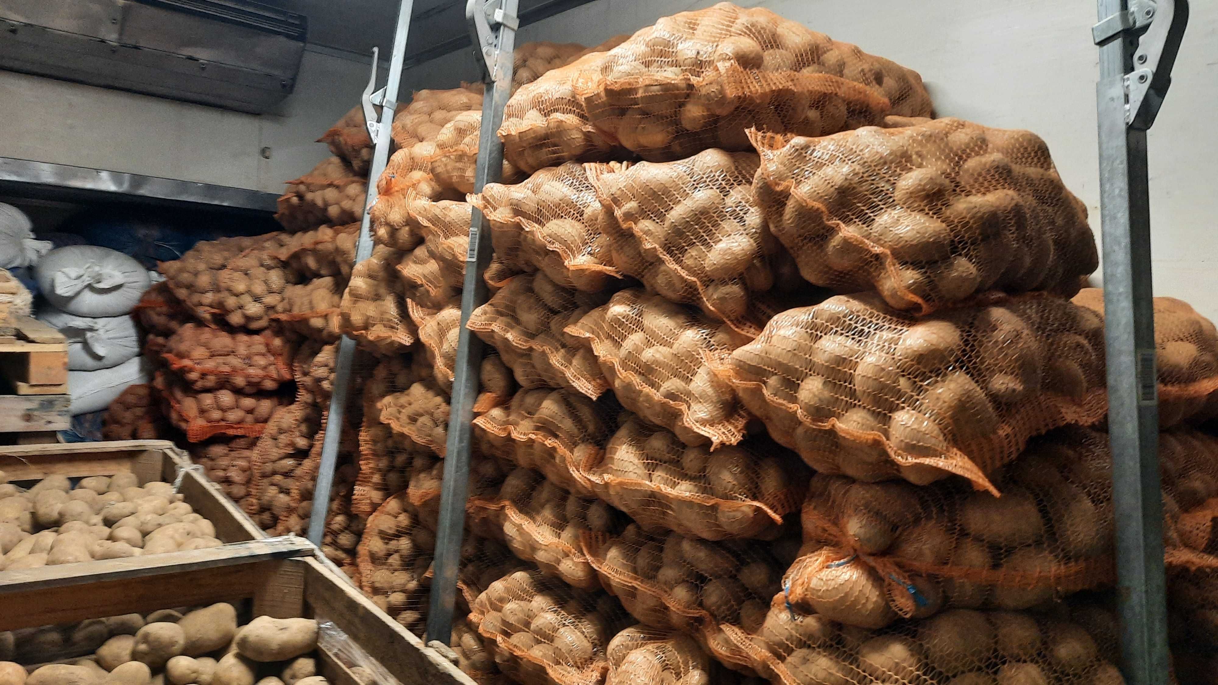 Zboże Pszenica Owies Ziemniaki
