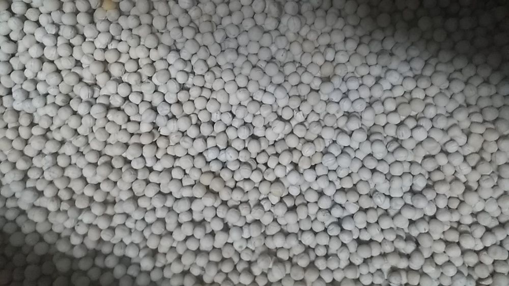 Groch siewny Batuta bez połówek około 20 ton.