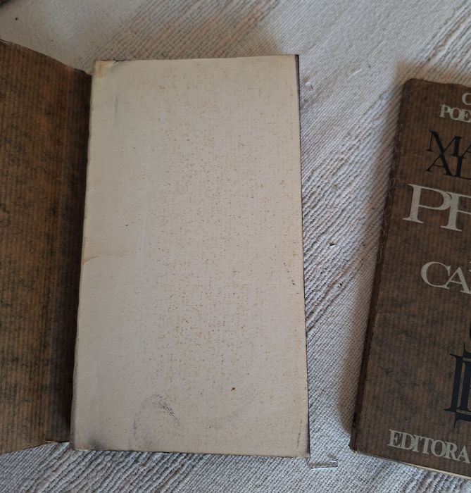 Dois livros Coleção Poesia e Ensaio da Ulisseia