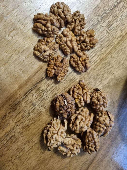 Грецький горіх (чищений)