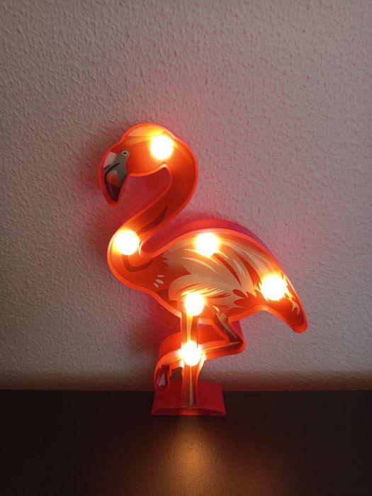 Flamingo luminoso .