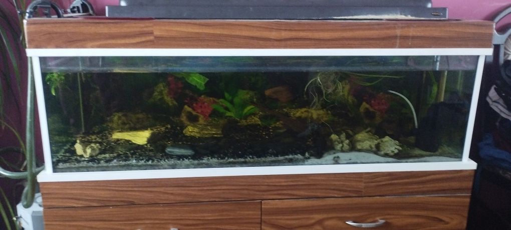 Akwarium 300L Plus Szafka