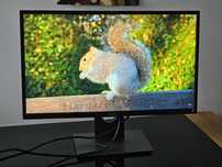 Monitor Dell P2417H