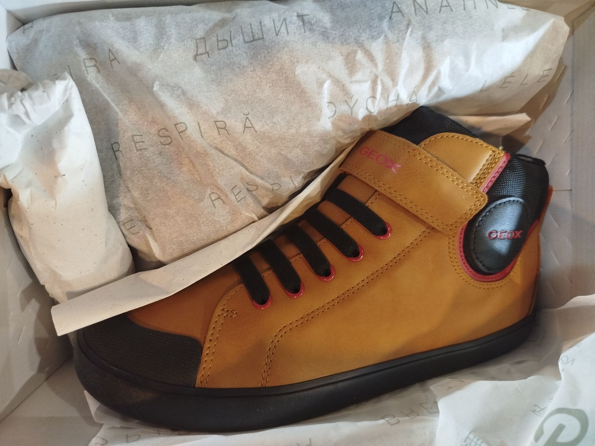 Conjunto Sneakers Novas (vários tamanhos)