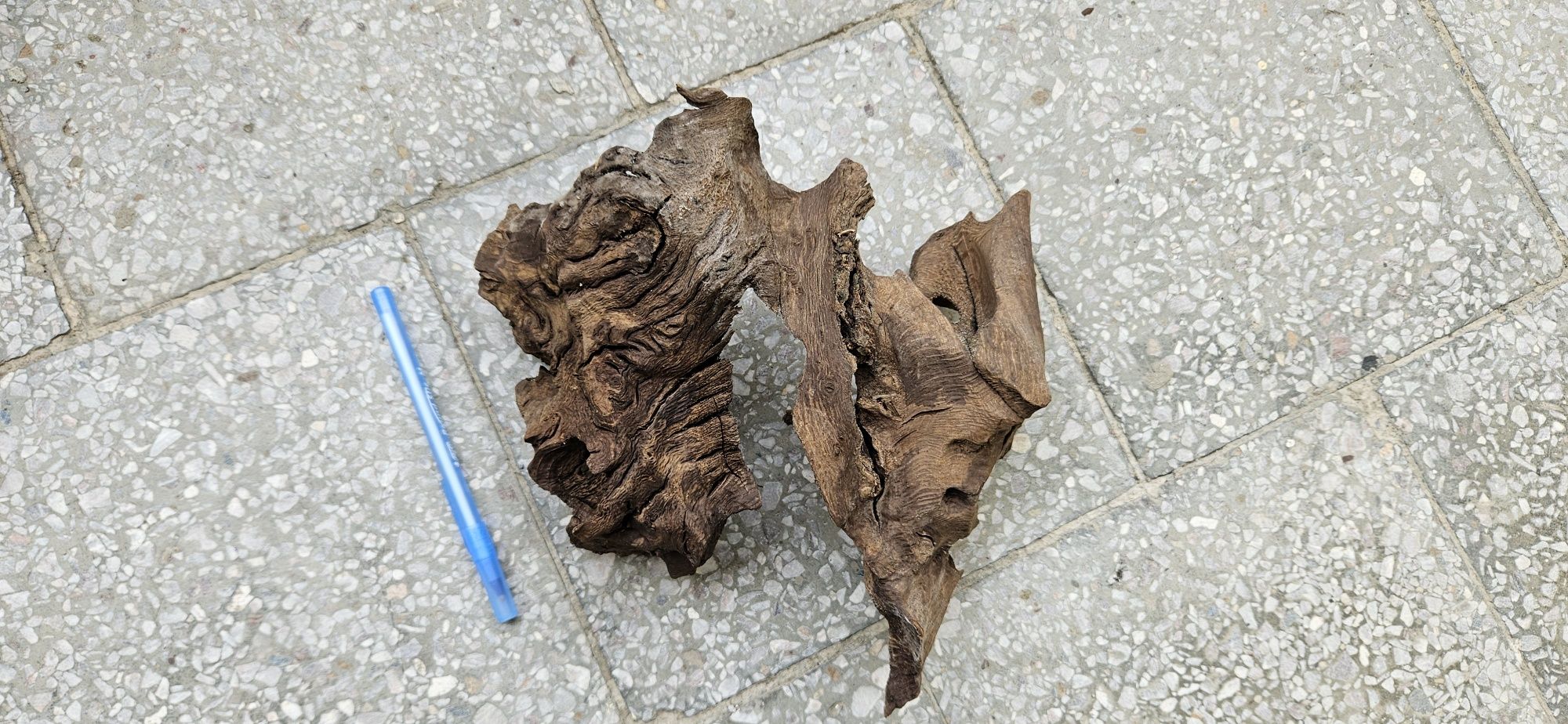 Korzeń do akwarium
