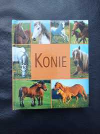 Konie - 2008 - Olesiejuk