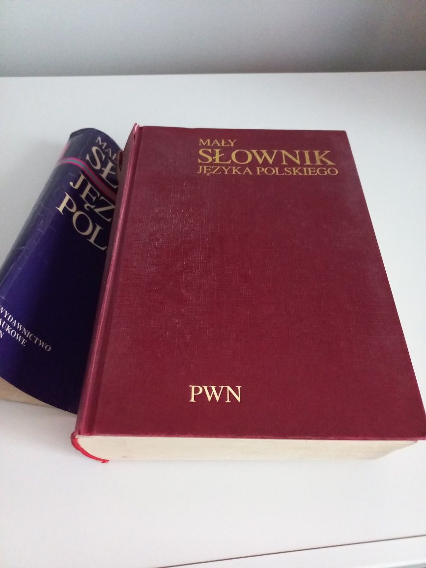 Słownik języka polskiego PWN