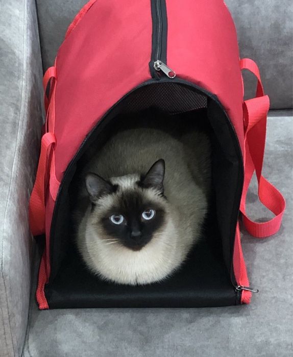 Сумка-переноска для домашніх тварин до 8-9 кг