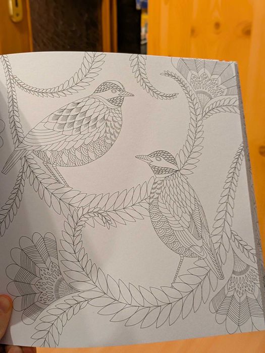 Nowa kolorowanka "Świat tropików" Millie Marotta