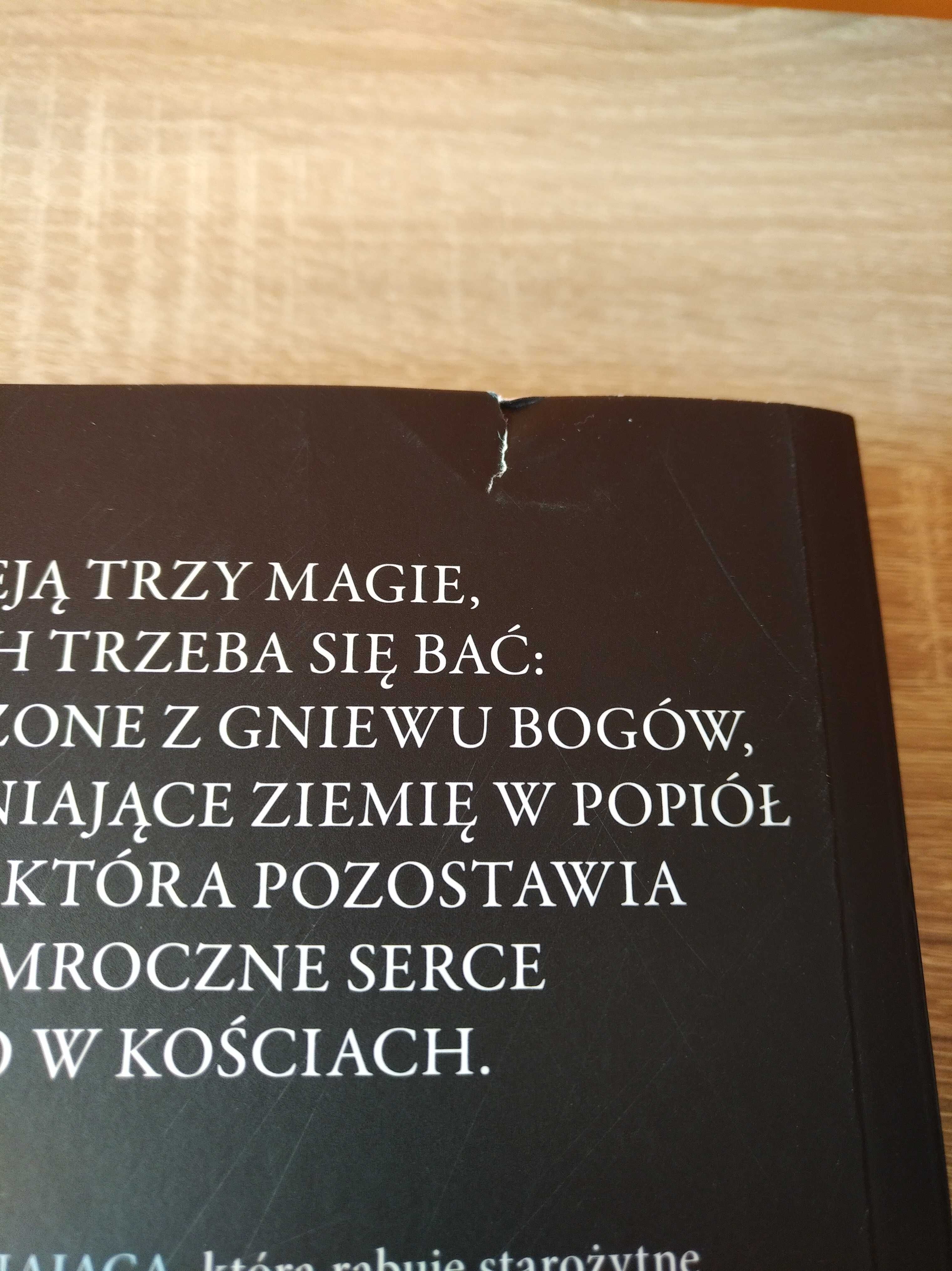 Srebro w kościach Alexandra Bracken