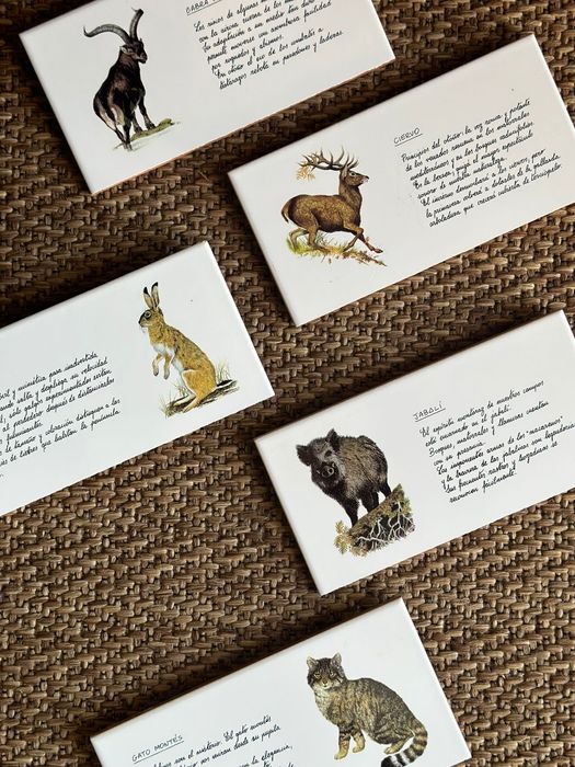 A zulejos de caça os 10 mandamentos do caçador