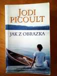 Jak z obrazka. Jodi Picoult