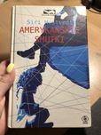 Amerykańskie smutki - Siri Hustvedt