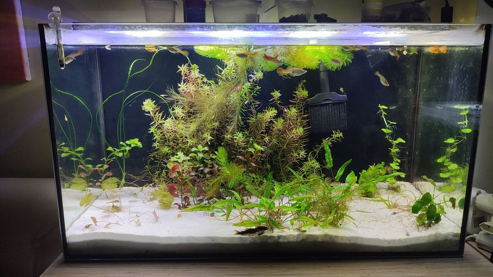 Sprzedam akwarium 126l
