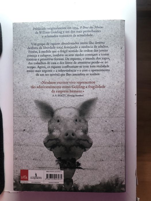 livro o deus das moscas