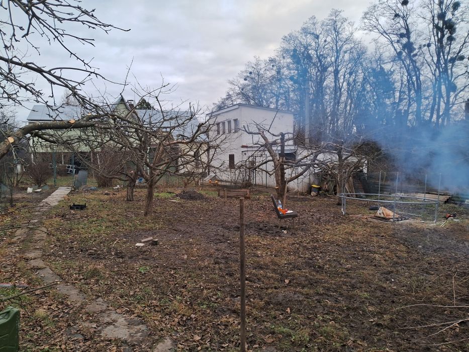 Спил дерев та обрізка саду