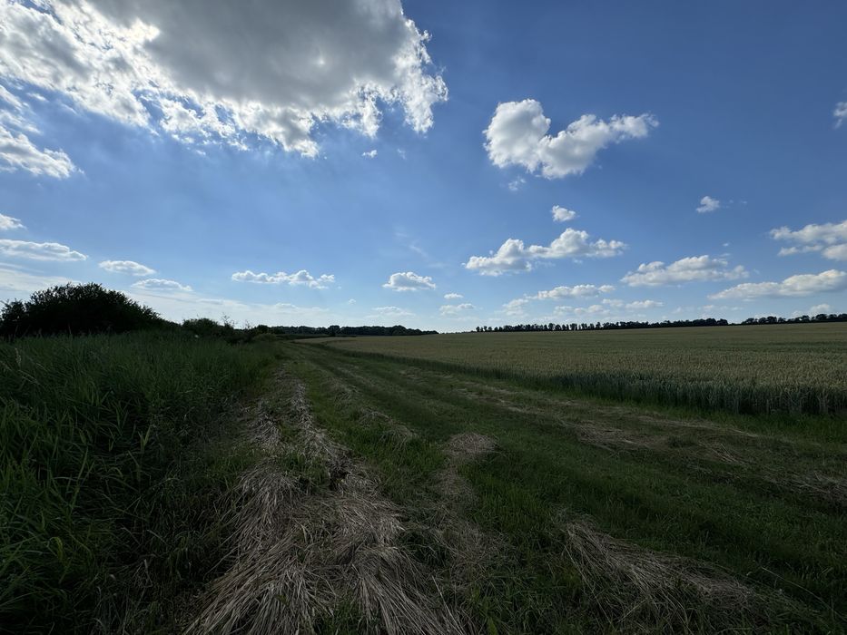 Продам земельну ділянку у Вінниці