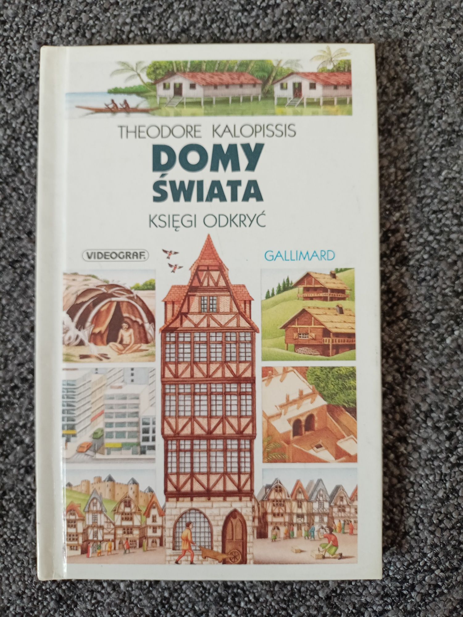 Domy świata - książka