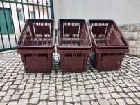 Cesta plastica - 22 lts.