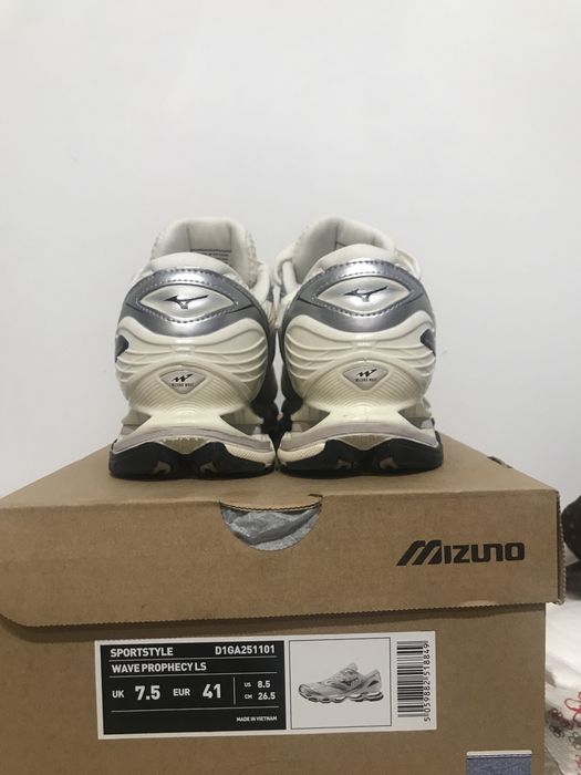 Mizuno wave prophecy ls