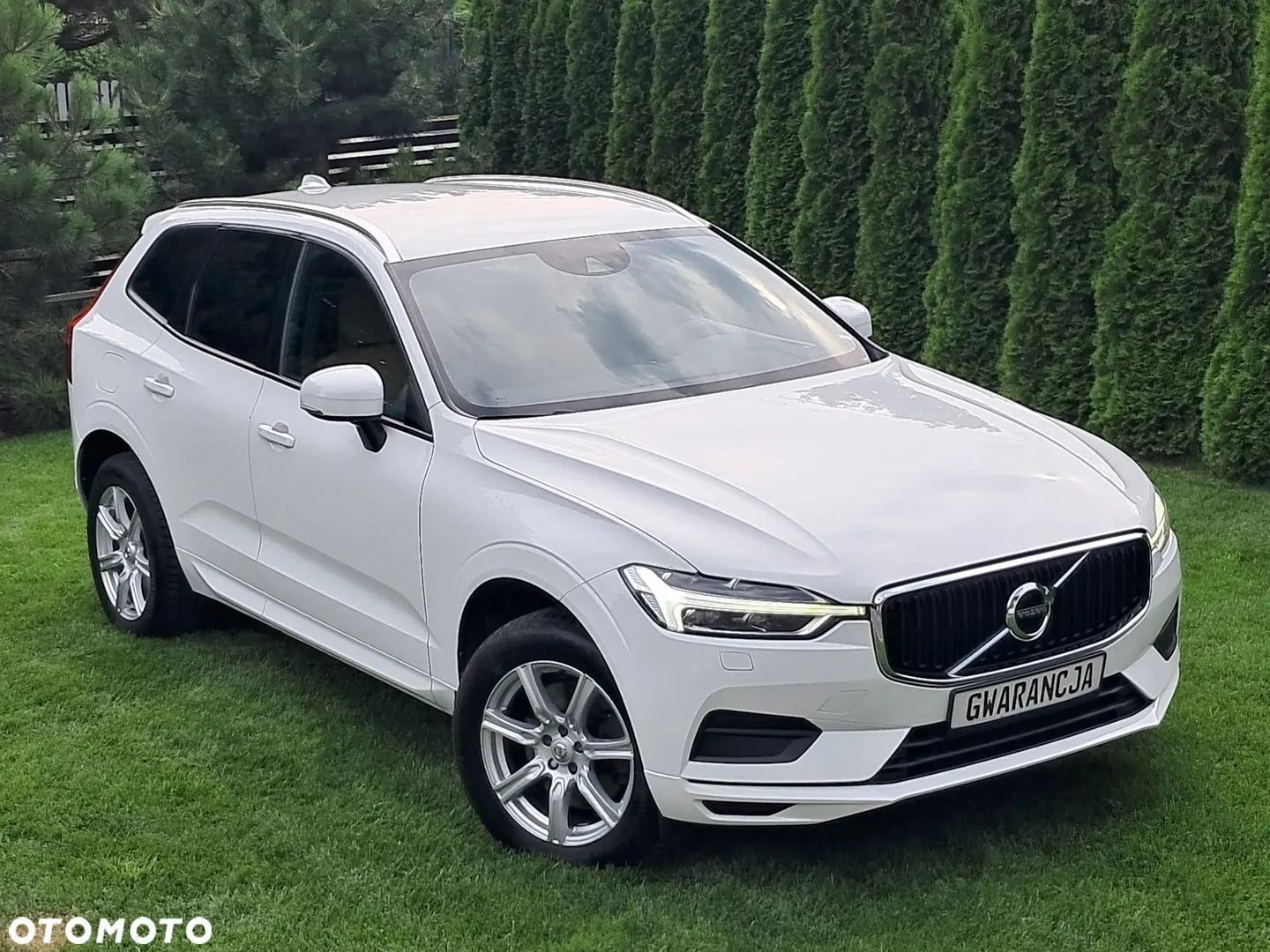 Volvo XC 60 __Bezwypadkowe__D4 190km__Serwisowane__m2019