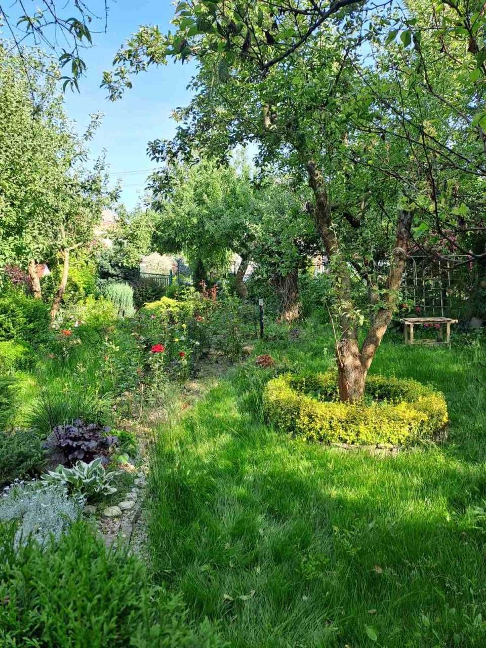 Продам дачу в с. Петрик (Рибаче)