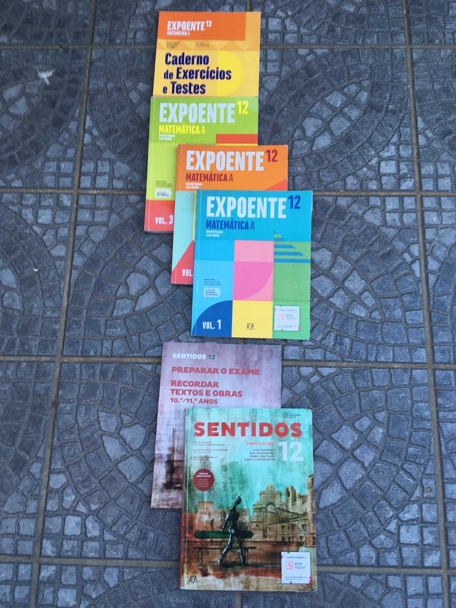 Manuais Livros Escolares 12º ano Secundário