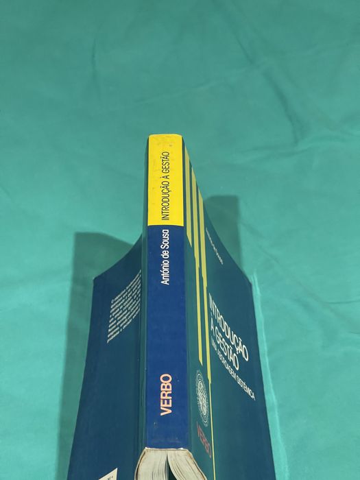 Livro Introdução à Gestão