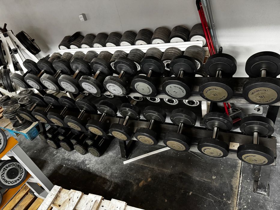 Halteres de ginásio Technogym profissionais