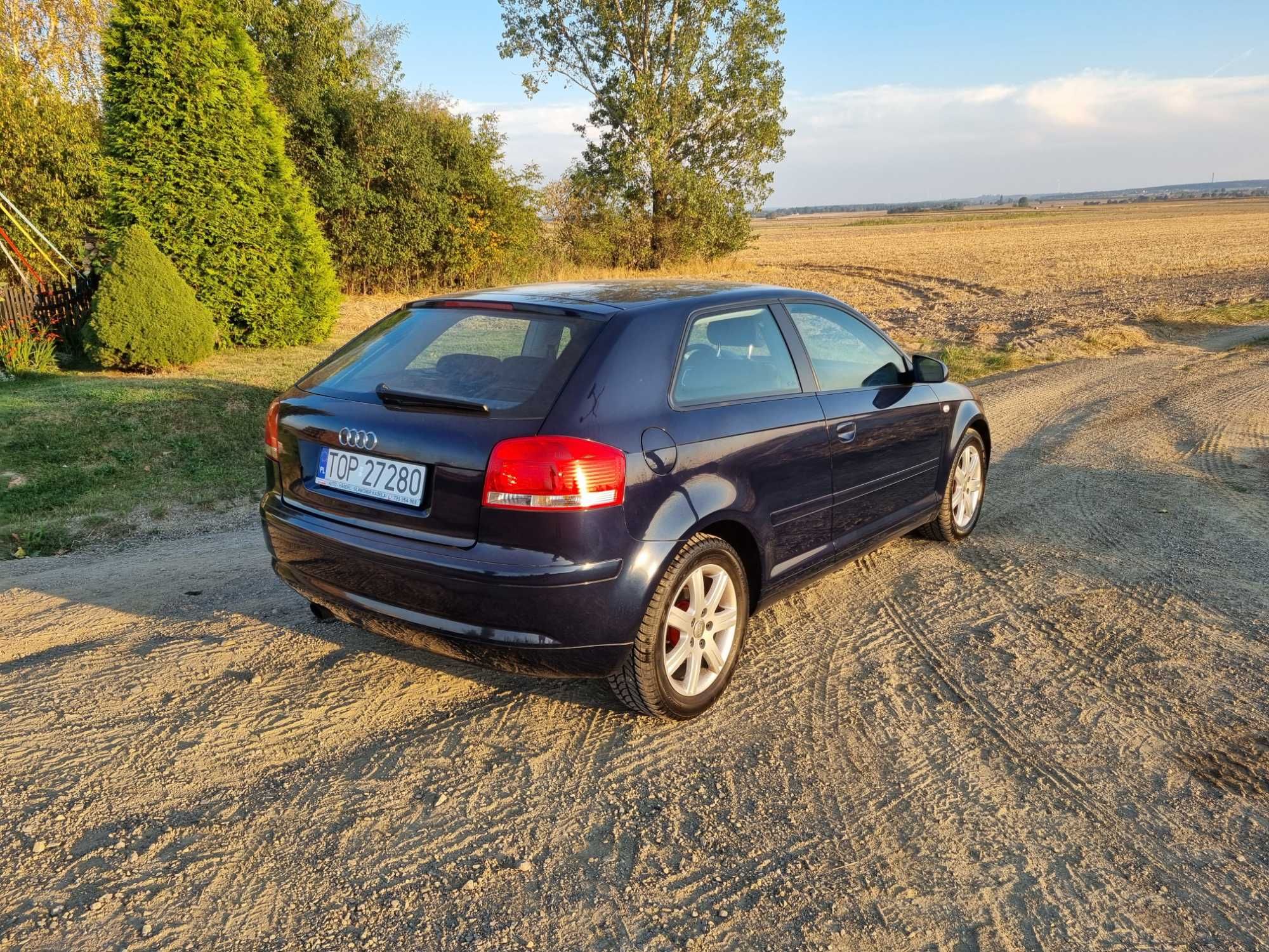 Audi A3, 8P,1.6 ,MPI,102KM