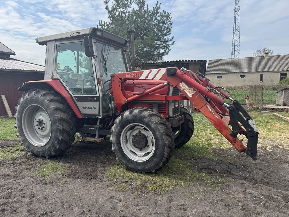 Massey fergusson mf 3050 z ładowaczem tur