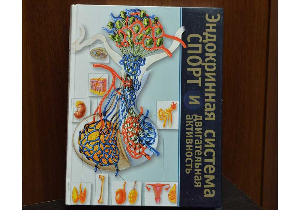 Эндокринная система, спорт и двигательная активность - Кремер, Рогола