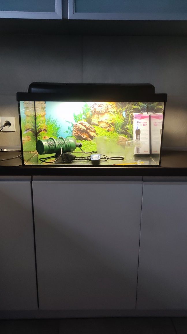 Akwarium 60l +wyposażenie