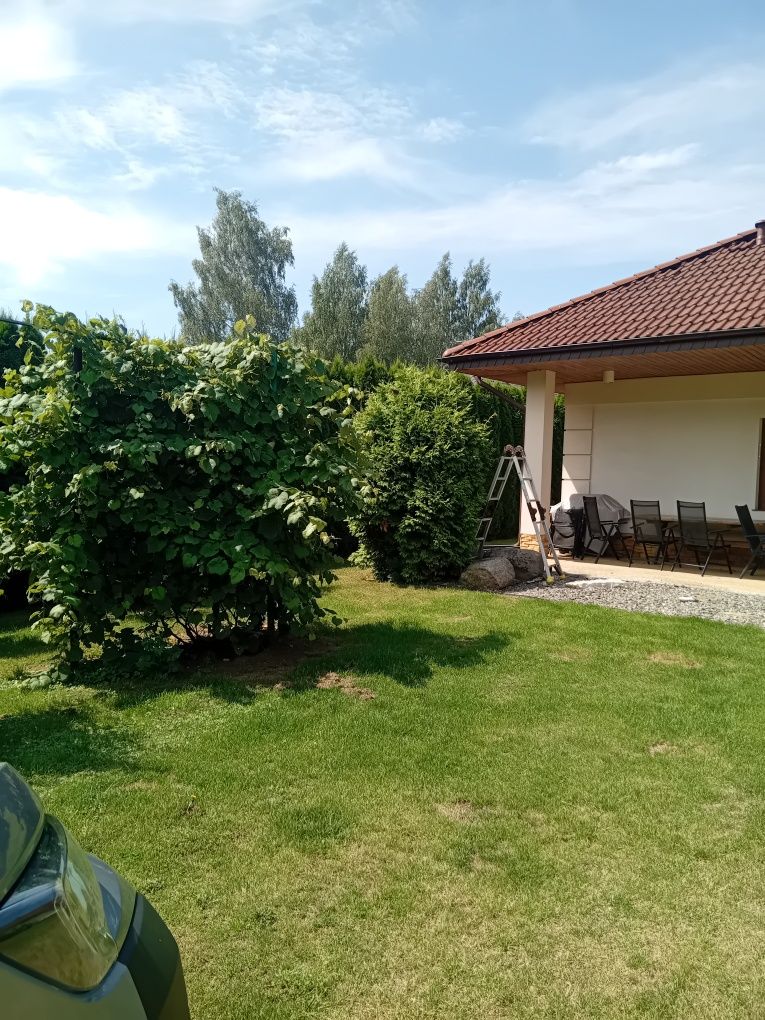 Dom jednorodzinny.  Skowronkowa.