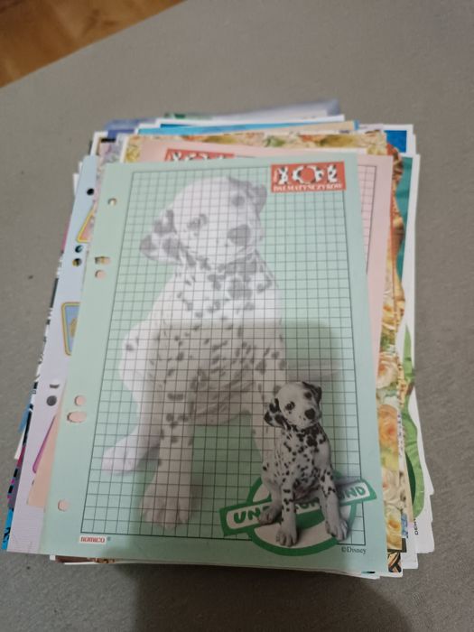 Karteczki duży zestaw