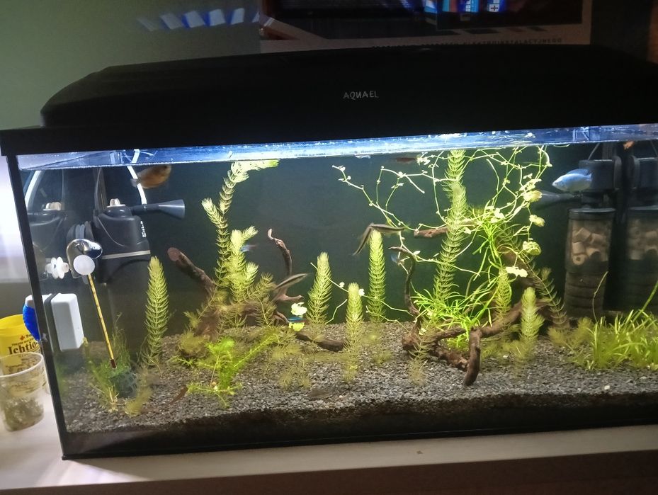 Aquael 112l akwarium