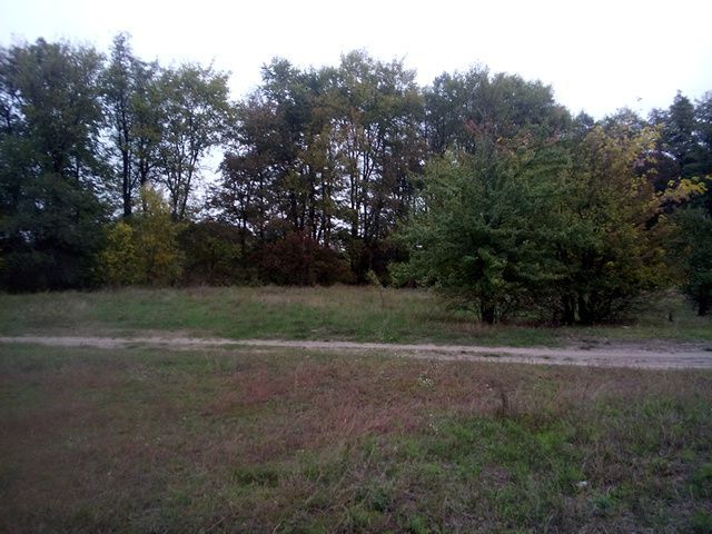 Земельна ділянка біля київського водосховища с.Оране