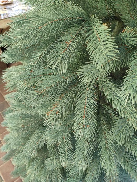 Штучна Ялинка " Буковельська Лита" Світло та Темно-зелені, на знижці!