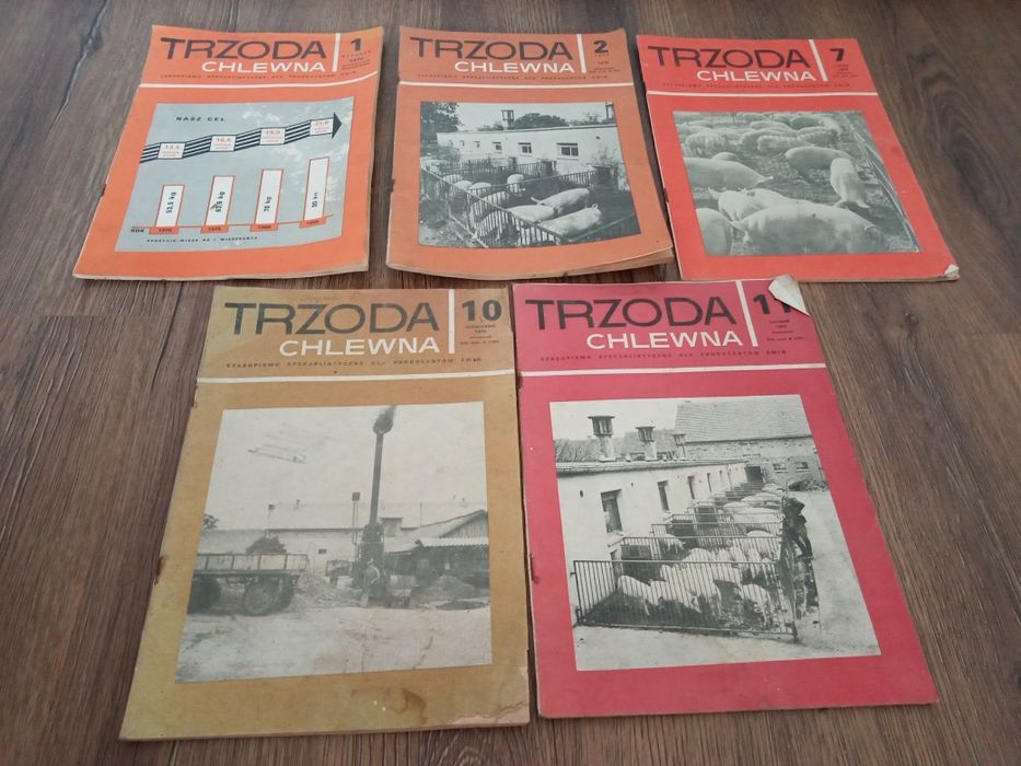 Gazeta Trzoda chlewna 1972 r.