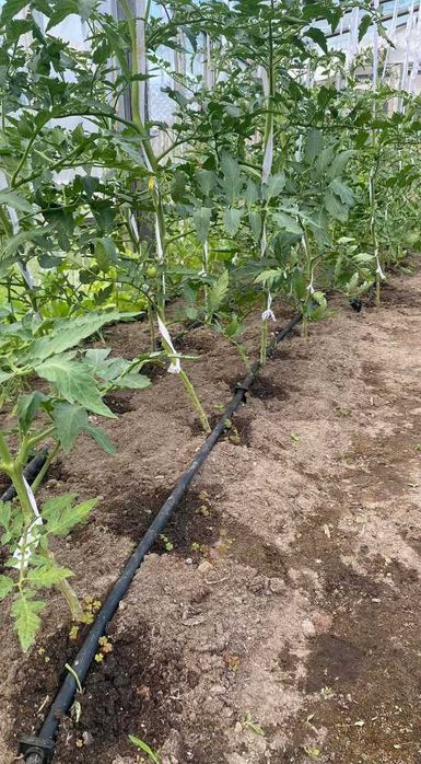 LINIA Kroplująca Oszczędź CZAS I PIENIĄDZ!