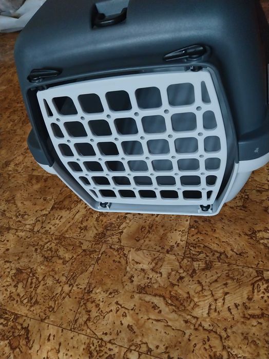 Transportadoras de gato - novas