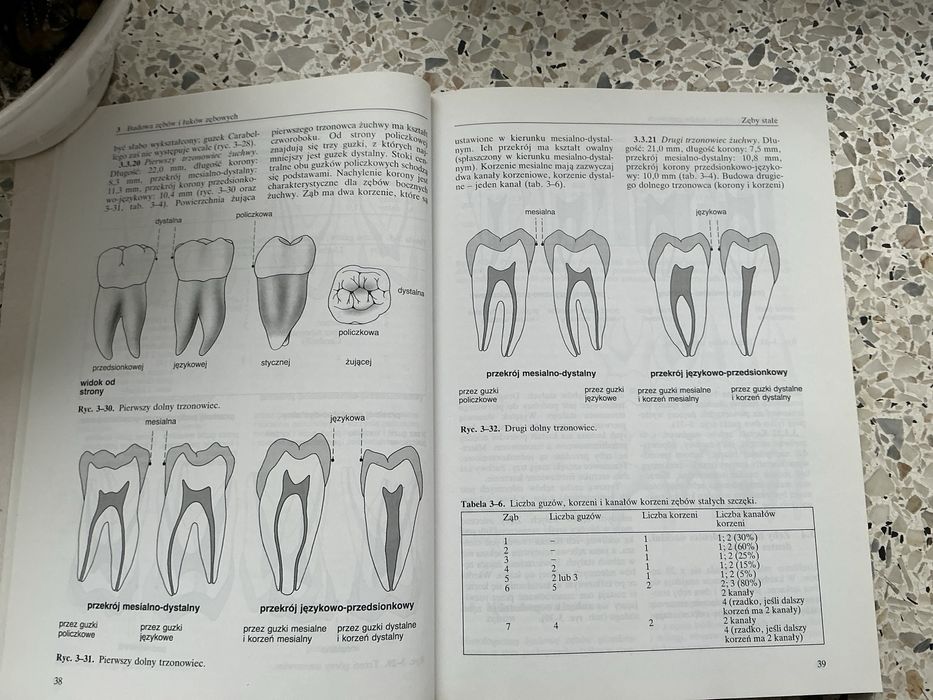 „Propedeutyka stomatologii zachowawczej i protetki” Lehmann Hellwig