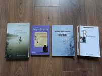 Vários livros em ótimo estado