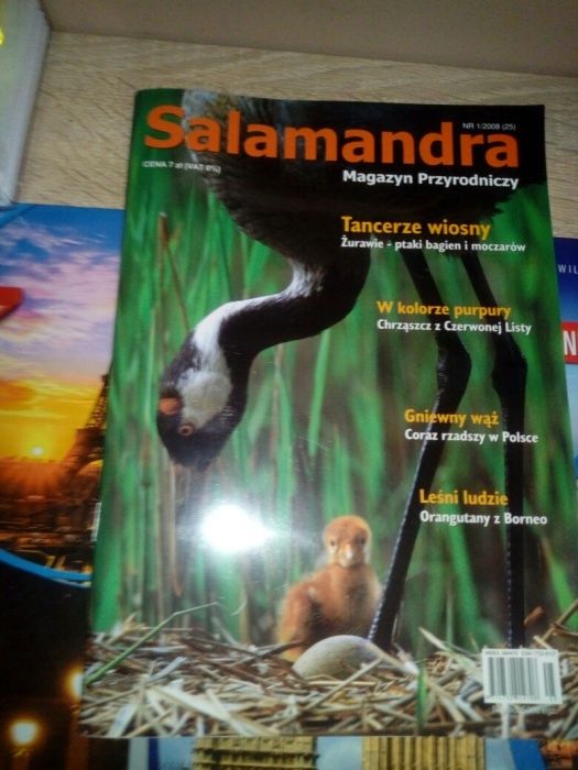 Magazyn przyrodniczy "Salamandra"