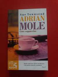 Adrian Mole Czas cappuccino / Sue Townsend