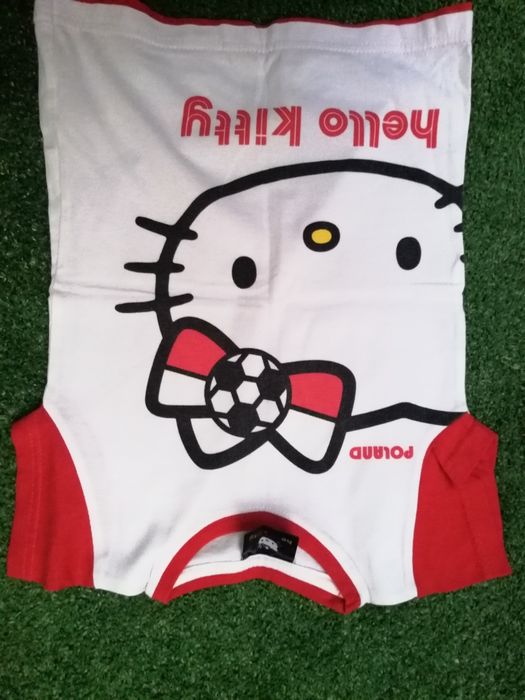 Sprzedam jak na zdjęciach w bardzo dobrym stanie koszulki /t-shirt