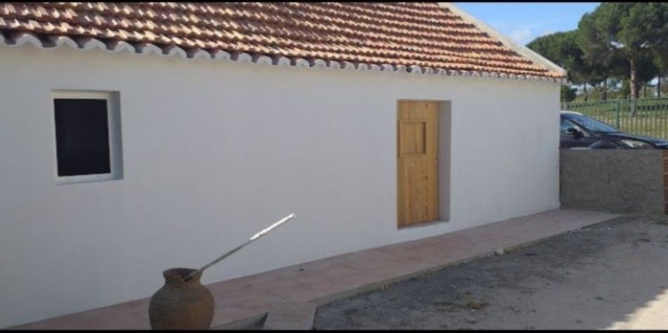 Limpeza de piscinas, terrenos,organização de armazens pinturas entre o