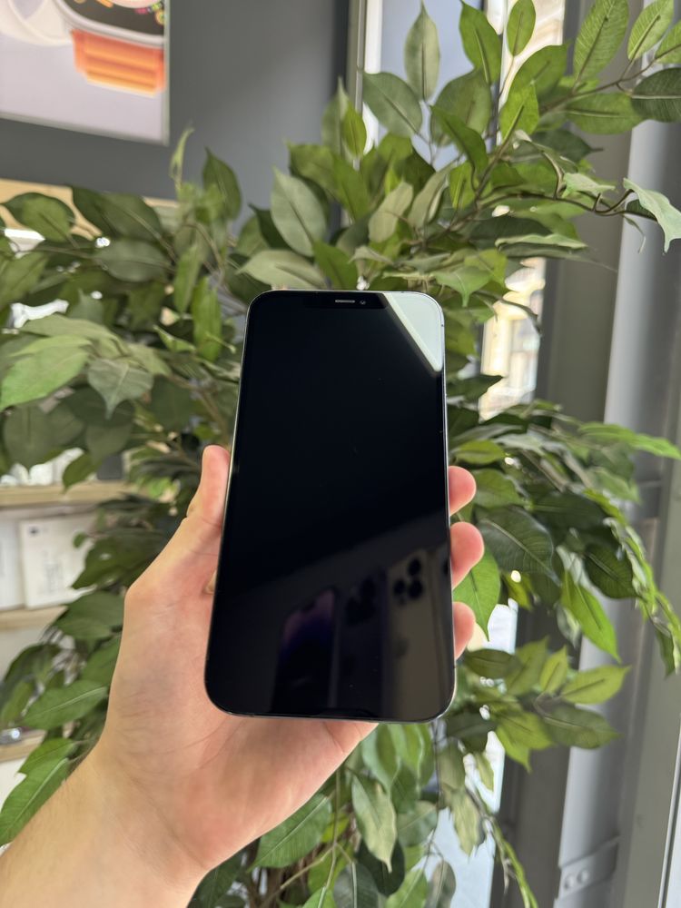 iPhone 12 Pro Max Pacific Blue
