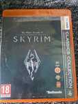 Skyrym gra RPG na PC